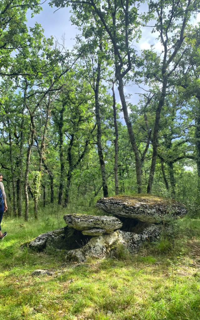 Dolmen Tombe Du Geant