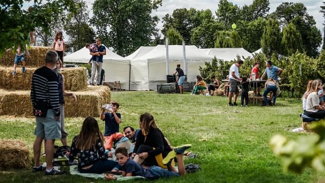 Fete Des Vendanges Aurelien Desmiers 02715 Bd