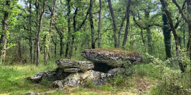 La Tombe Du Geant Septfonds