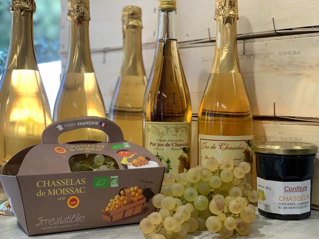 Produits Au Chasselas 7588