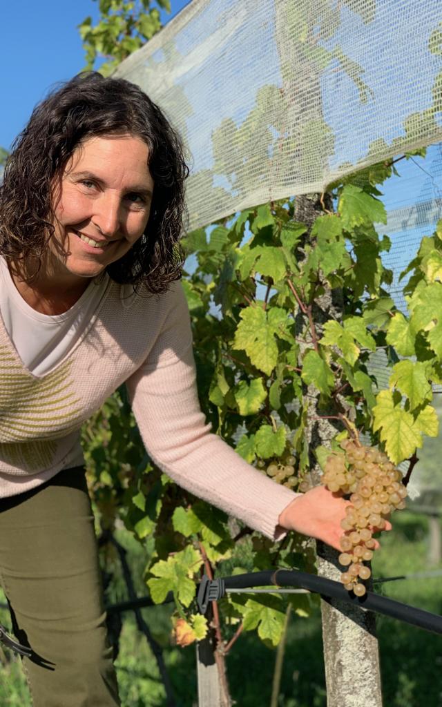 Veronique Fontanel Vignes Chasselas