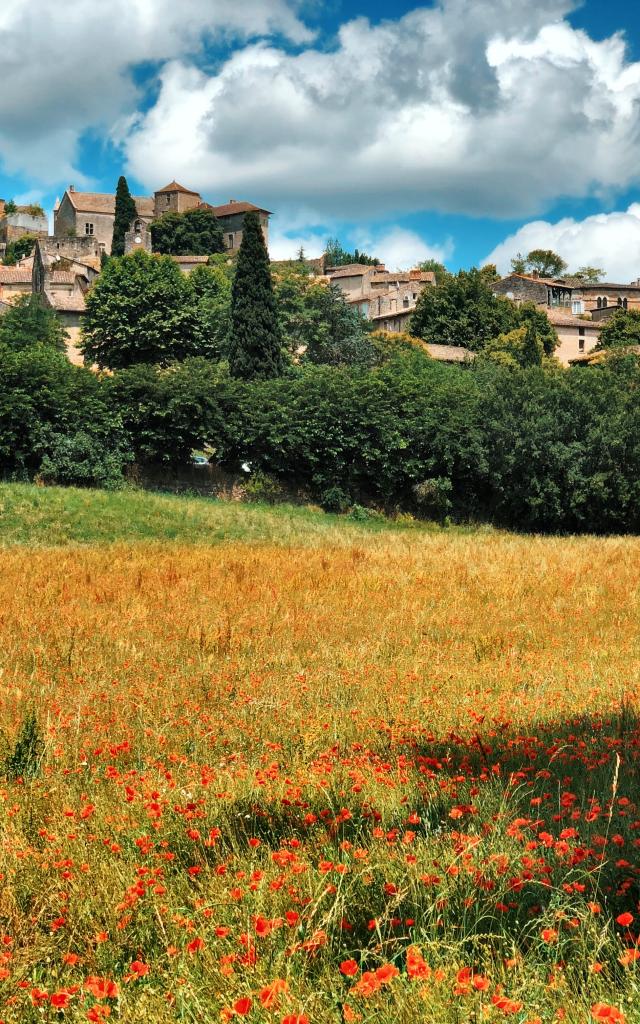 Bruniquel entouré de coquelicots