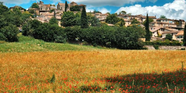 Bruniquel entouré de coquelicots