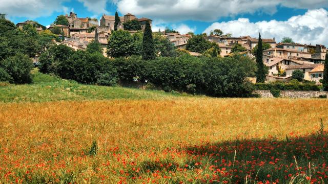 Bruniquel entouré de coquelicots