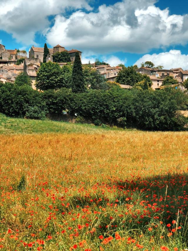 Bruniquel entouré de coquelicots