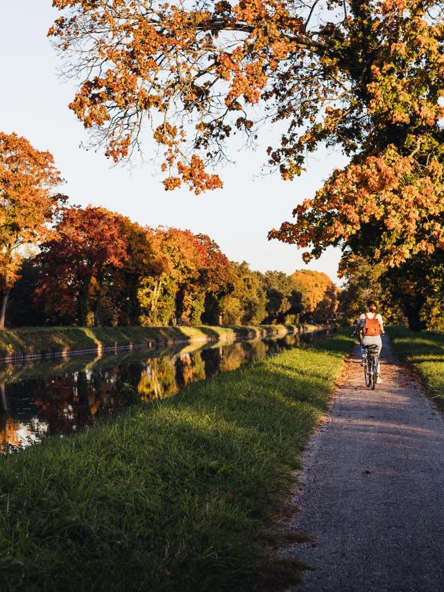 Le Tarn-et-Garonne en Automne