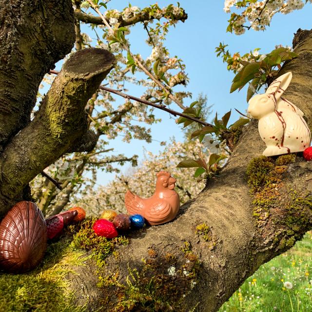 Pâques en Tarn-et-Garonne