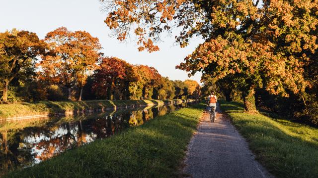 Canal à vélo en automne