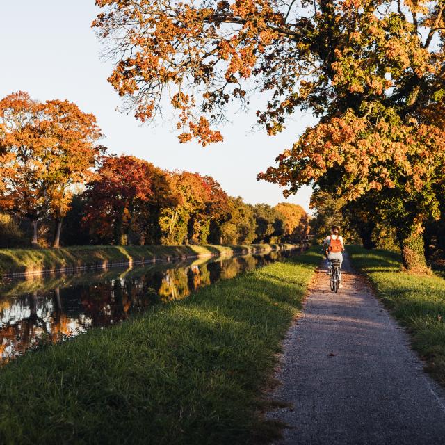 Canal à vélo en automne