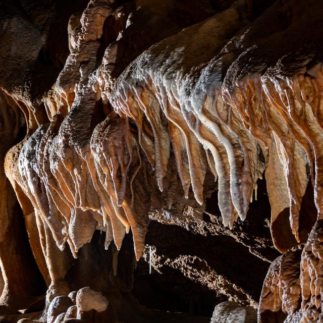 Estalactitas de la cueva del Bosc