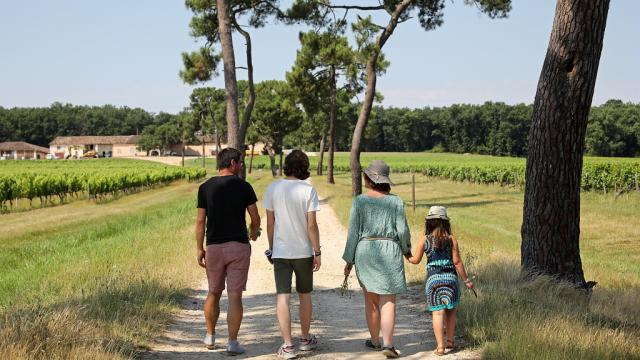 Balade Dans Les Vignes Au Château Marguerite Jmorel