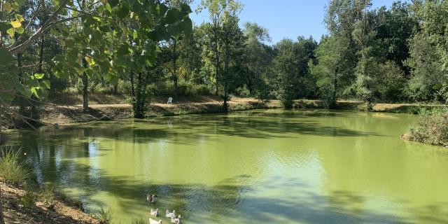 Camping Des Etangs 3322