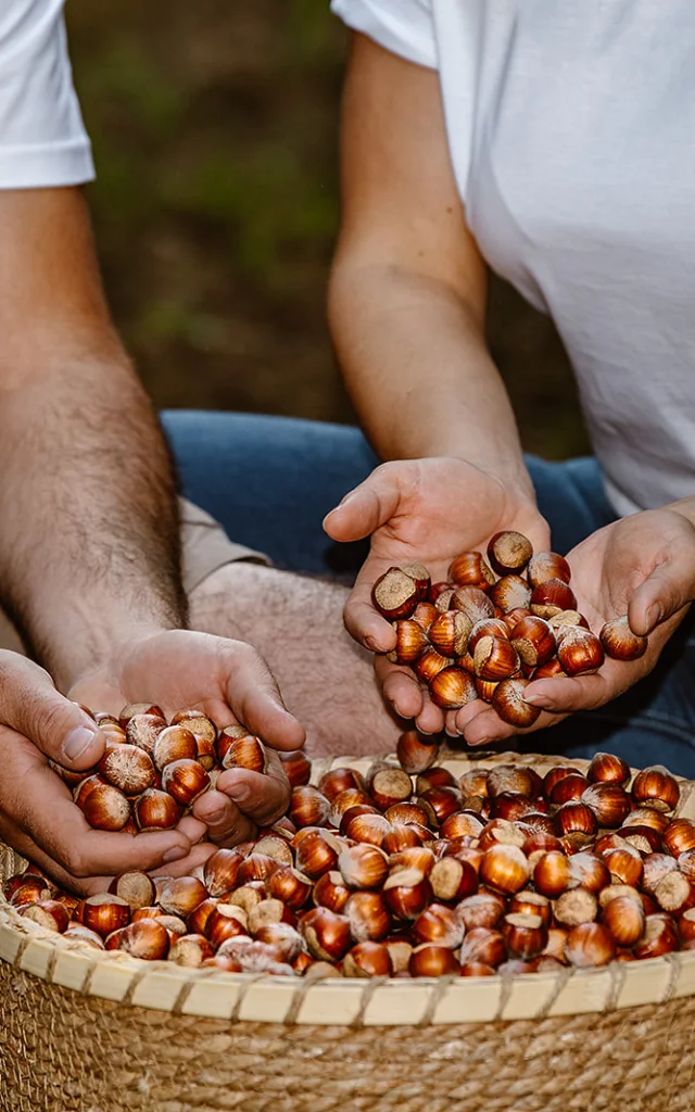 Castaneas Noisettes Arte Da Luz