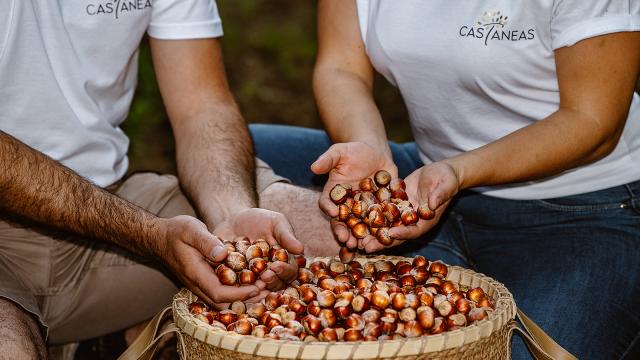 Castaneas Noisettes Arte Da Luz