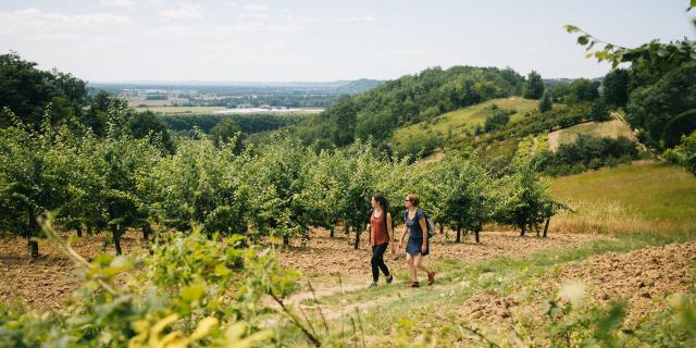 Randonnée autour de Montauban