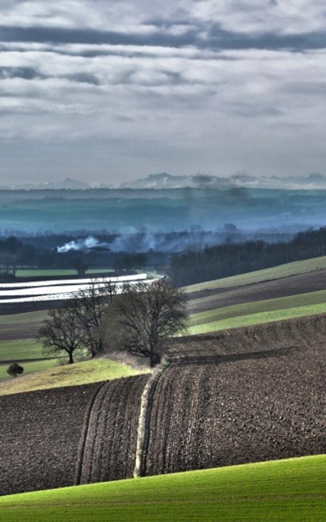 Paysage d'hiver avec vue sur les Pyrénées