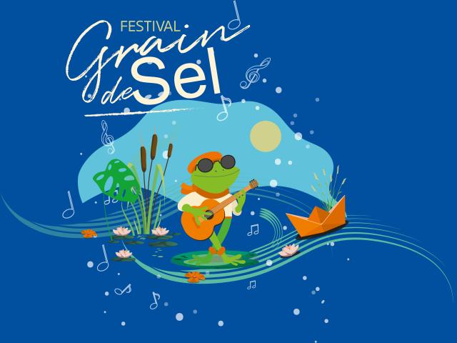 Festival Grain De Sel 2024