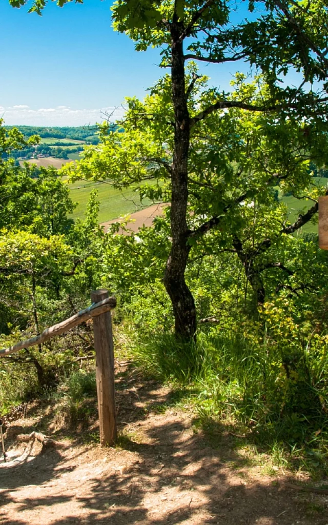 Chemin de Saint-Jacques de Compostelle