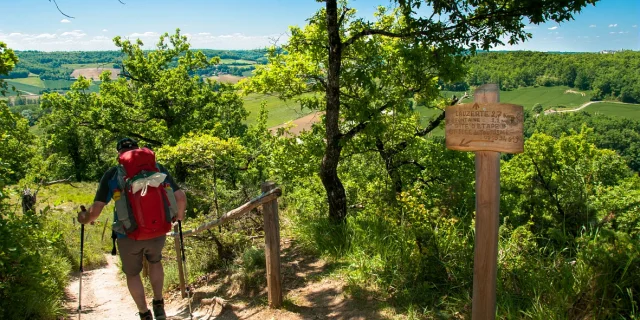 Chemin de Saint-Jacques de Compostelle