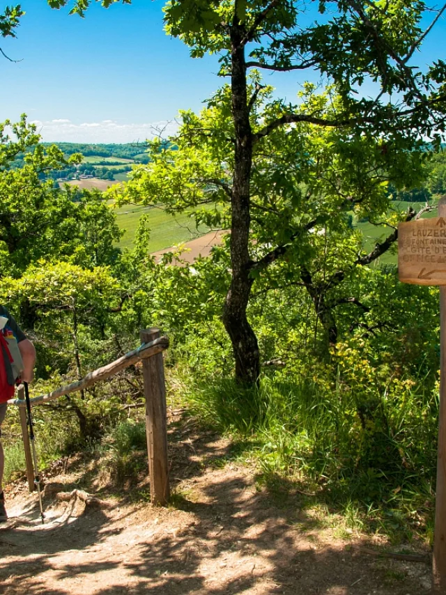 Chemin de Saint-Jacques de Compostelle