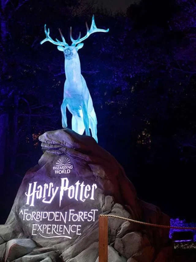 Harry Potter Forbidden Forest Experience