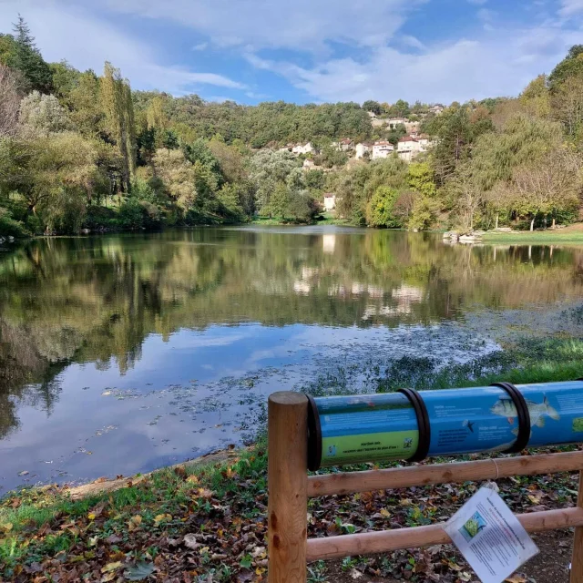 Sentier Du Martinet